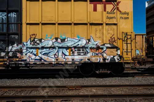 FBOX504002