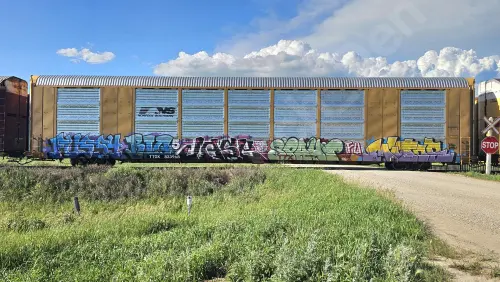 TTGX823968