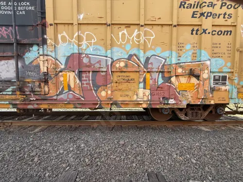 FBOX504882