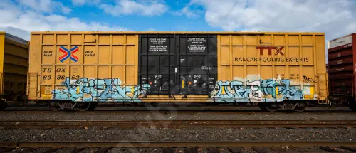 TBOX638653