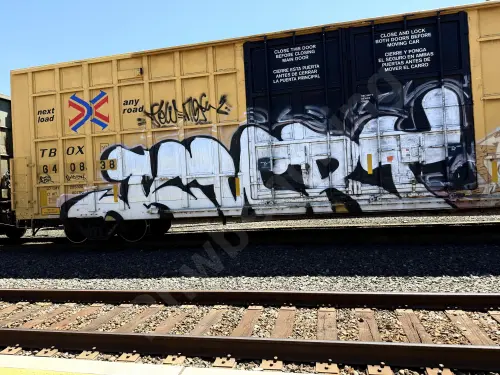 TBOX640838
