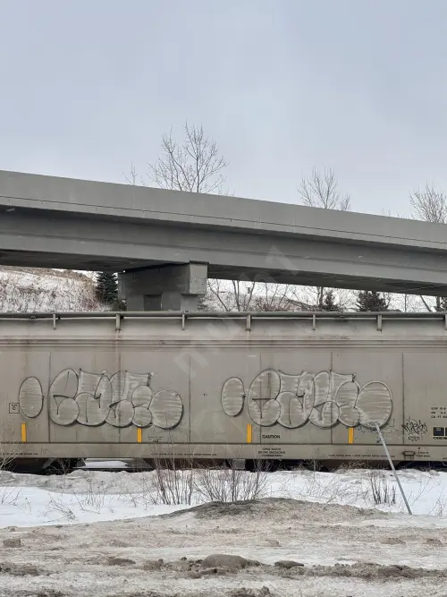 Train photo