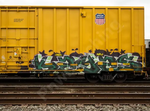 UP700938