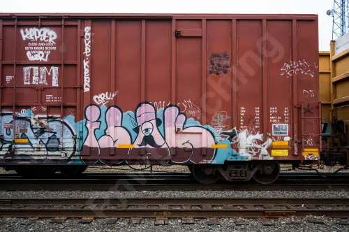TBOX889480