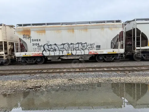 Train photo