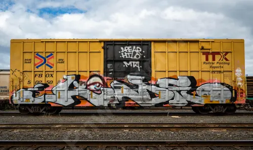 FBOX502502