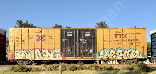 TBOX631584