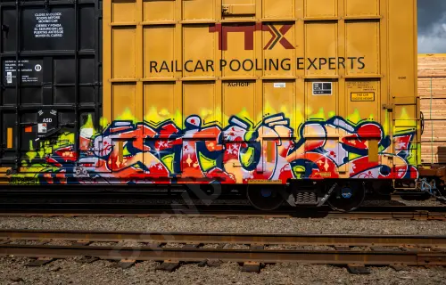 TBOX635494