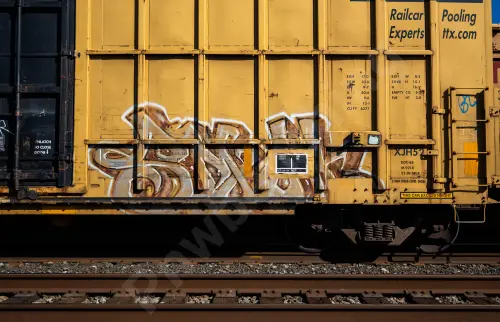 FBOX504143