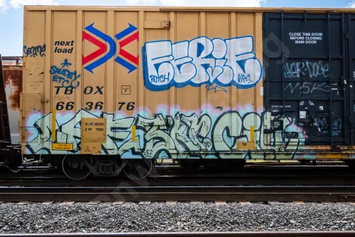 TBOX663676