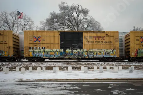 Train photo