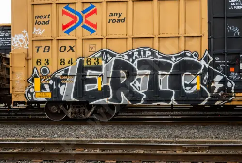 TBOX638463