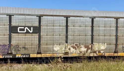 Train photo