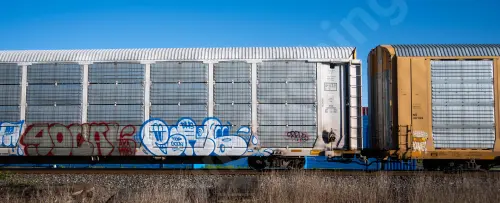 CPAA543010