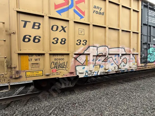TBOX663833