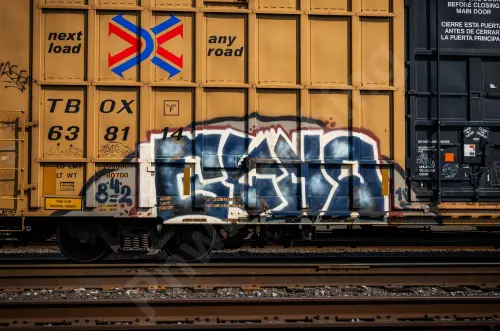 TBOX638114