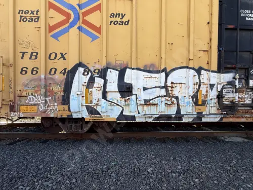 TBOX660489