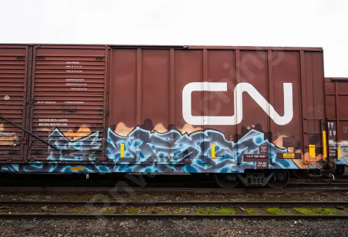 IC533149