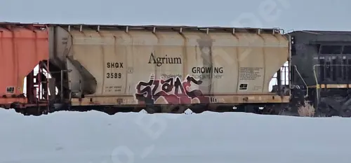 SHQX3589