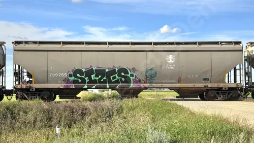 IC799266