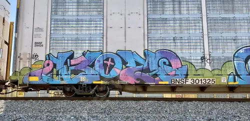 BNSF301325