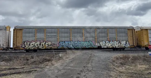 Train photo