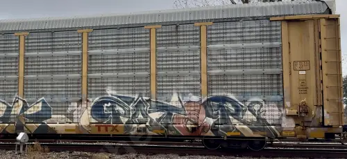 Train photo
