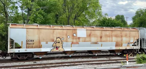 Train photo