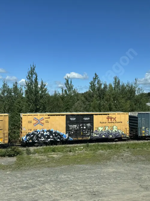 TBOX660538