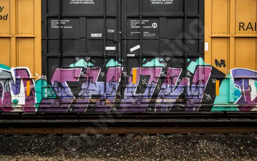 TBOX643772