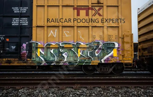 FBOX506442