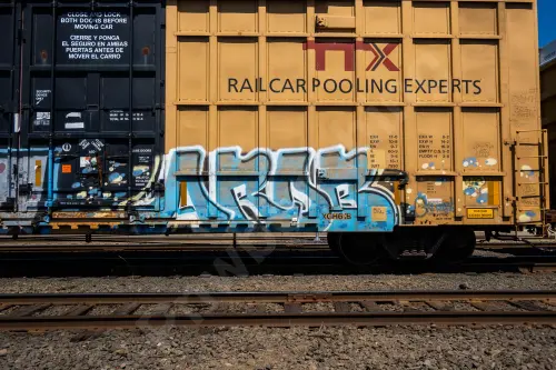 TBOX663833