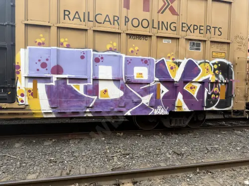 TBOX633538