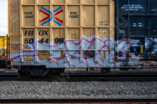 FBOX504499