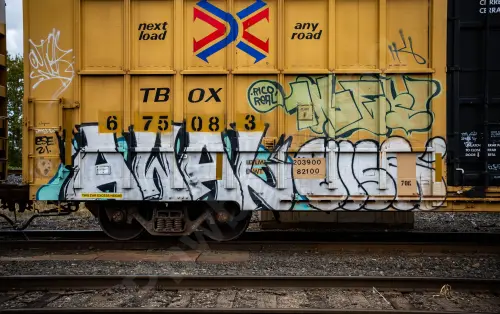 TBOX675083