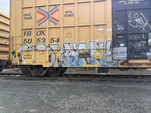 FBOX505354