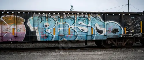 GNTX295138