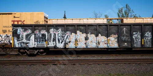 Train photo