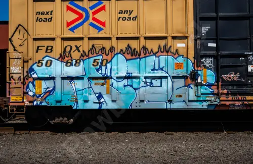 FBOX506850