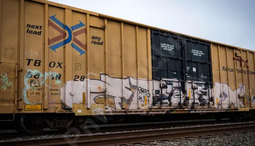 TBOX661828