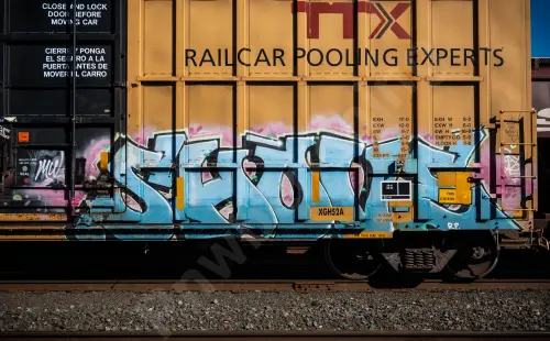 FBOX506886