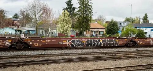 FEC55526