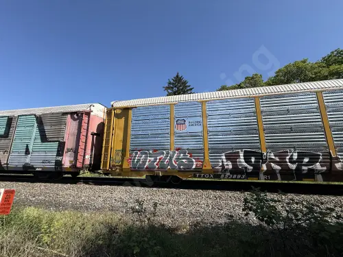 TTGX853893