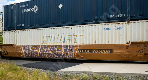 DTTX765266