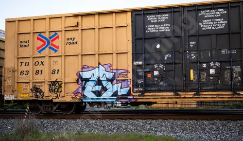 TBOX638181