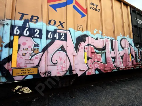 TBOX662642