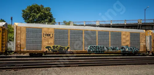 Train photo