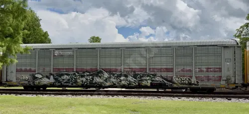 Train photo