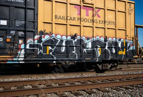 TBOX673251