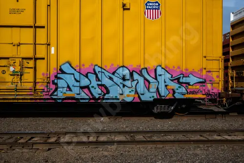 UP701509